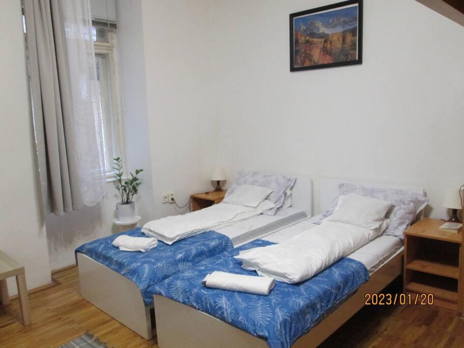 Lavender Apartment Near Heroes' Square & Puskas Stadium บูดาเปสต์ ภายนอก รูปภาพ